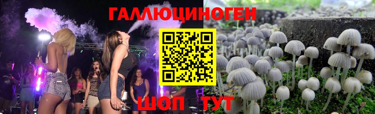 Азнакаево  Псилоцибиновые грибы GOLDEN TEACHER  Вход с VPN 